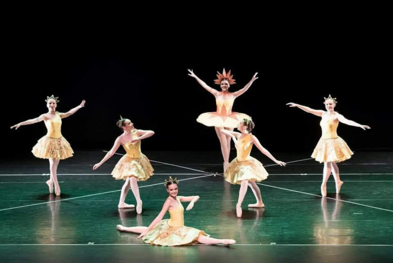 Escola de Ballet Adulto Contato Região Central - Escola de Dança Profissional